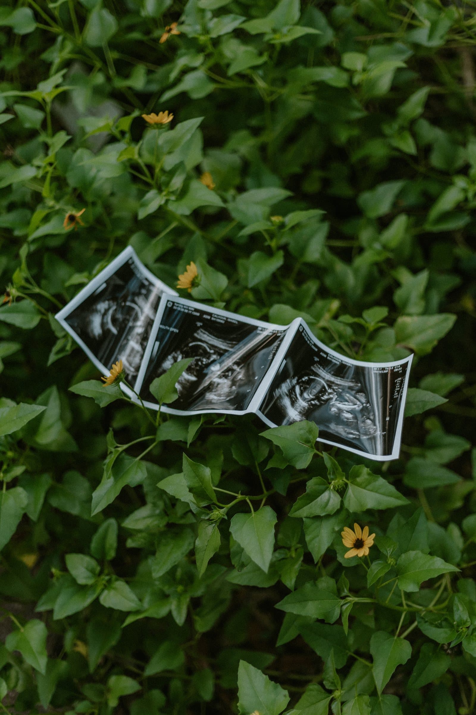 Natural maternity photography session image 1